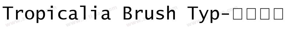 Tropicalia Brush Typ字体转换